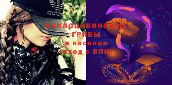 ешки Михайлов