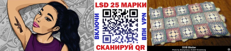 где купить наркотик кракен зеркало Марки 25I-NBOMe 1,8мг Каменногорск