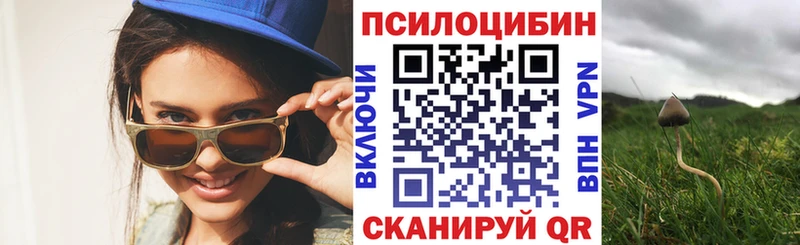 Галлюциногенные грибы мицелий  Каменногорск 